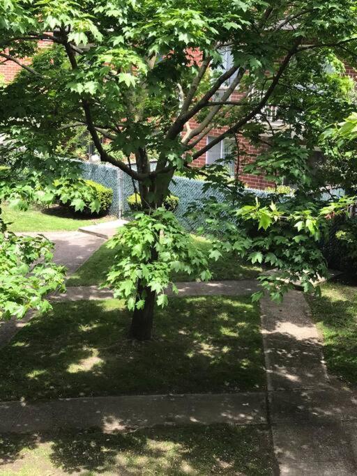 Brooklyn Luxury Spring Retreat With Private Outdoor Space ニューヨーク エクステリア 写真